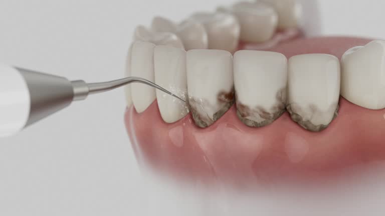 Reliable Dental contractor in DeSoto County County, FL by Dentist Open Now